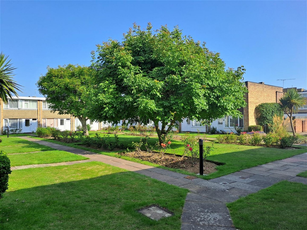 Ground Level View of Communal Gardens From