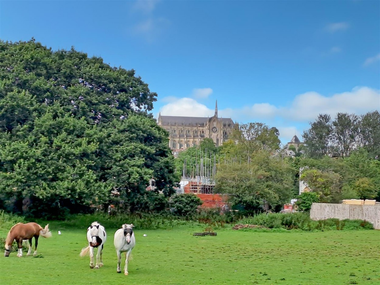 View at the end of Cul-de-Sac Across Paddock